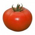 Semente de tomate Compack Seminis